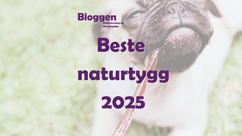 Beste naturtygg til hund 2025: Stressreduserende tygg som fremmer rolig atferd