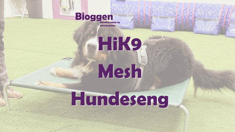 Fordelene med HiK9 Mesh Hundeseng: Lett, luftig og hygienisk