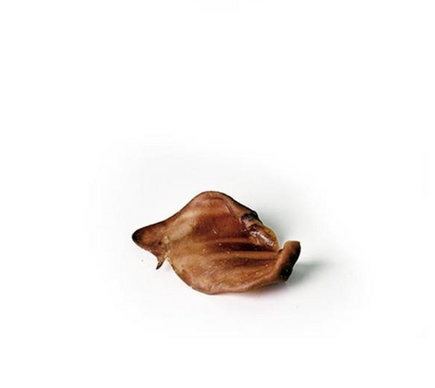 10 pk Griseøre