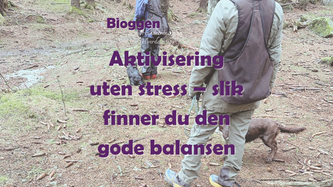 Aktivisering uten stress – slik finner du den gode balansen