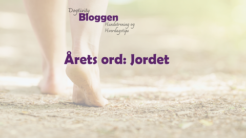 Årets ord: Jordet – en rød tråd for 2026