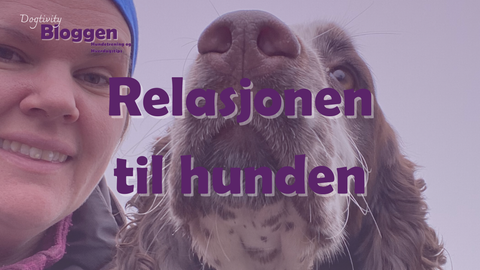 Relasjonen til hunden din