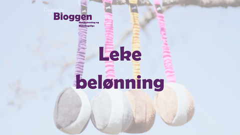 Ulike hunder liker ulike belønningsleker.
