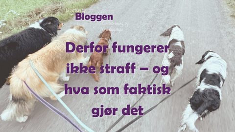 Derfor fungerer ikke straff – og hva som faktisk gjør det