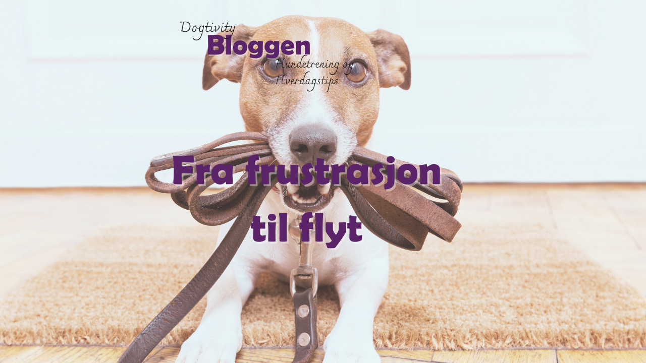 Fra frustrasjon til flyt – hvordan små endringer i treningen endret al ...