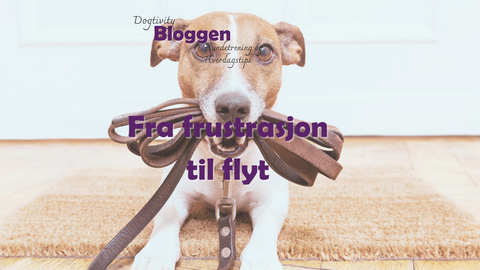 Fra frustrasjon til flyt – hvordan små endringer i treningen endret alt