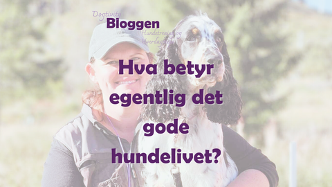 Hva betyr egentlig det gode hundelivet?