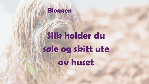Slik holder du søle og skitt ute av huset med hund – tips & løsning