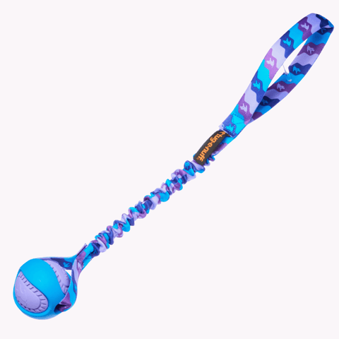 Lilla og blå draleke med giftfri ball og strikk