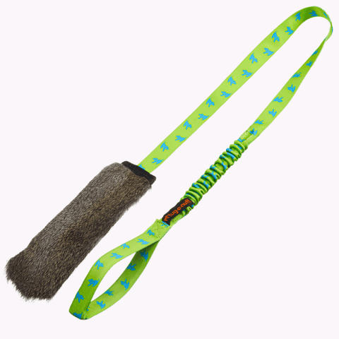 Rabbit skin squeaky bungee chaser tug med grønt håndtak